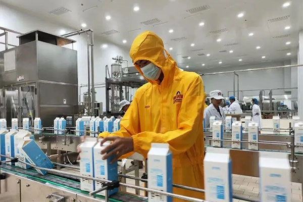 Dairy Factory
