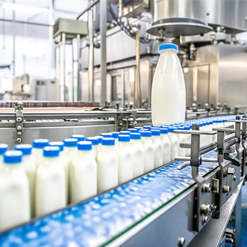 Dairy Processing Plant